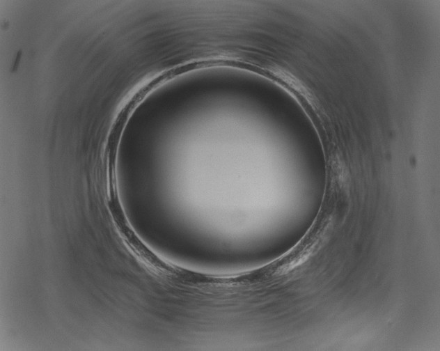 X0000078241127200611031103