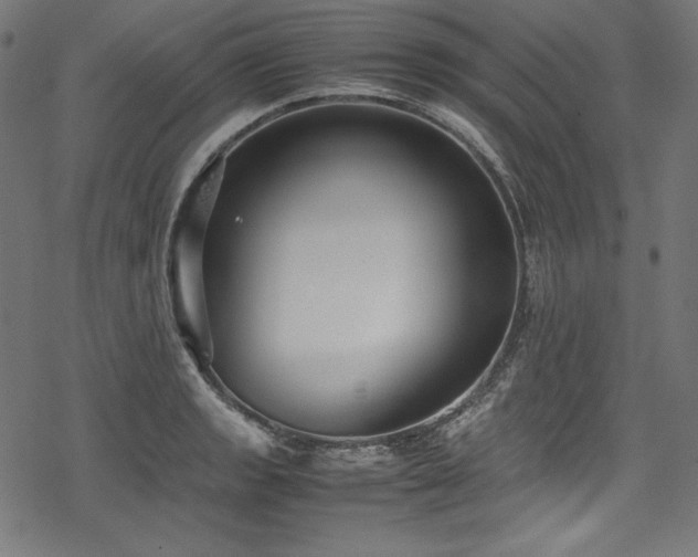 X0000078241133200611031103