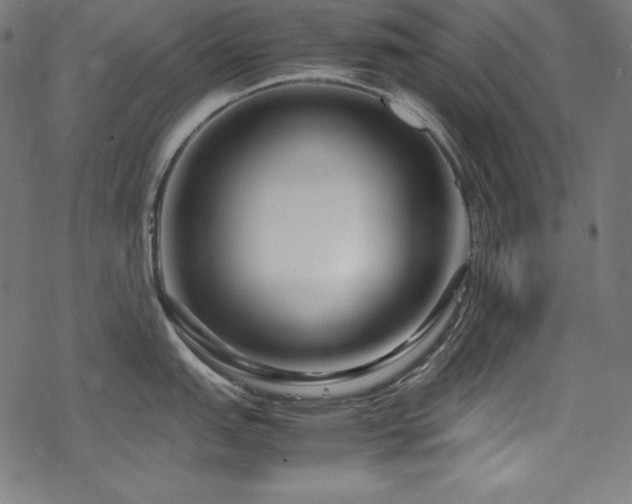 X0000078241151200611031103
