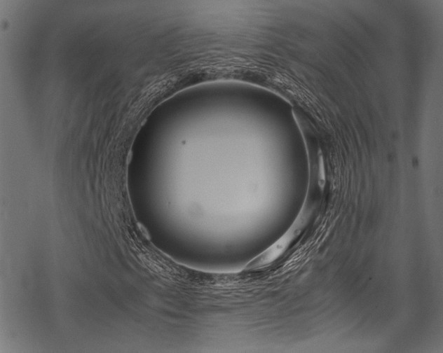 X0000078241153200611031103