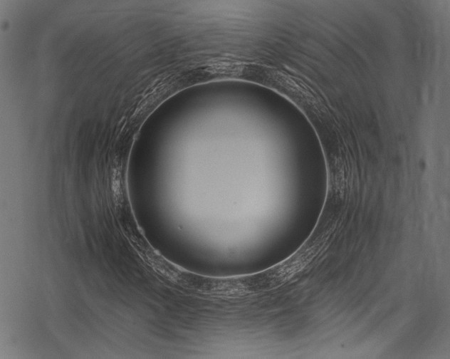 X0000078241154200611031103