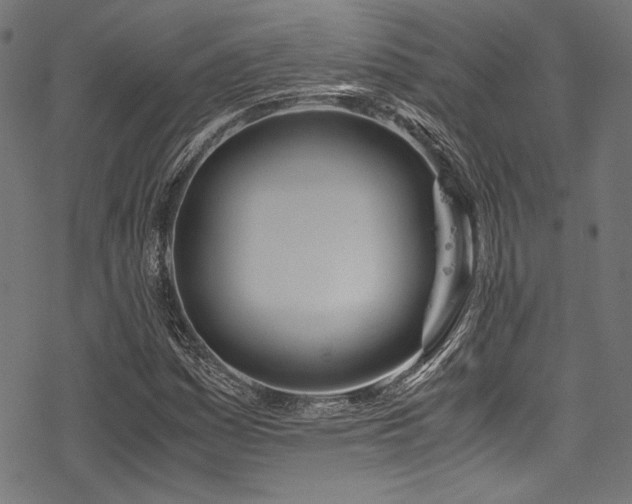 X0000078241161200611031102