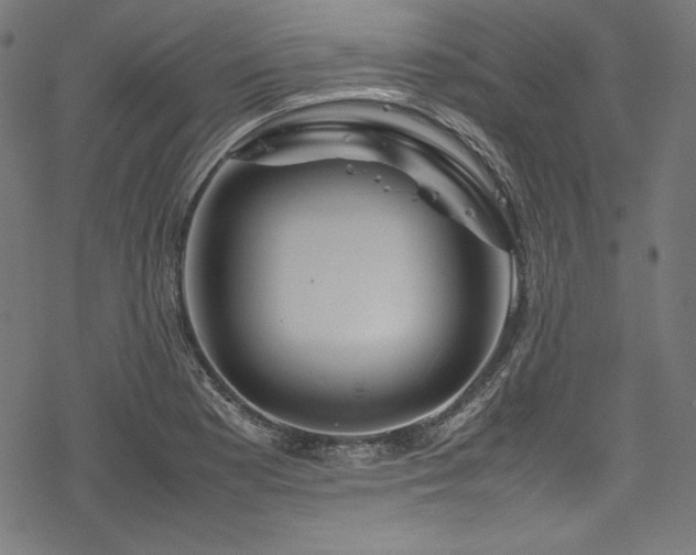 X0000078241177200611031102