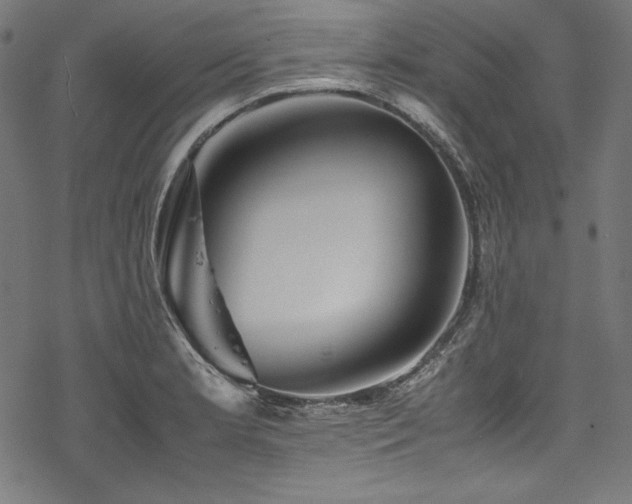 X0000078241181200611031102