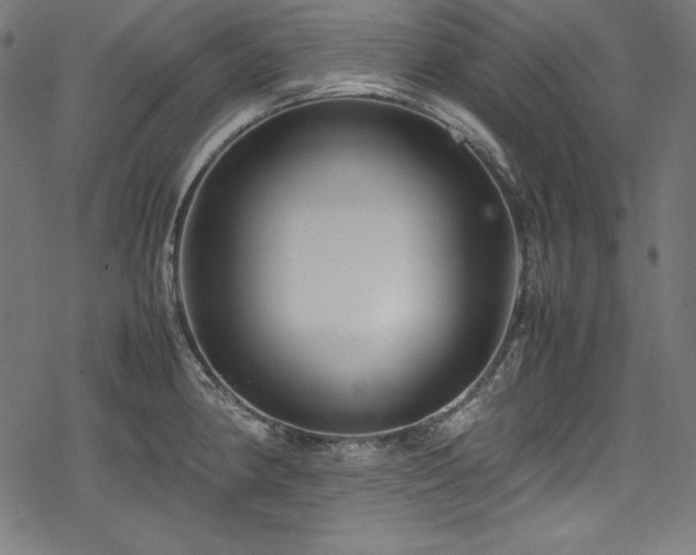 X0000078241190200611031102