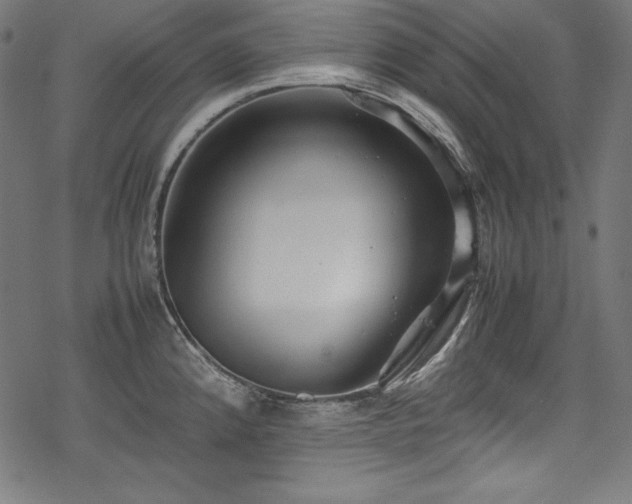 X0000078241192200611031102