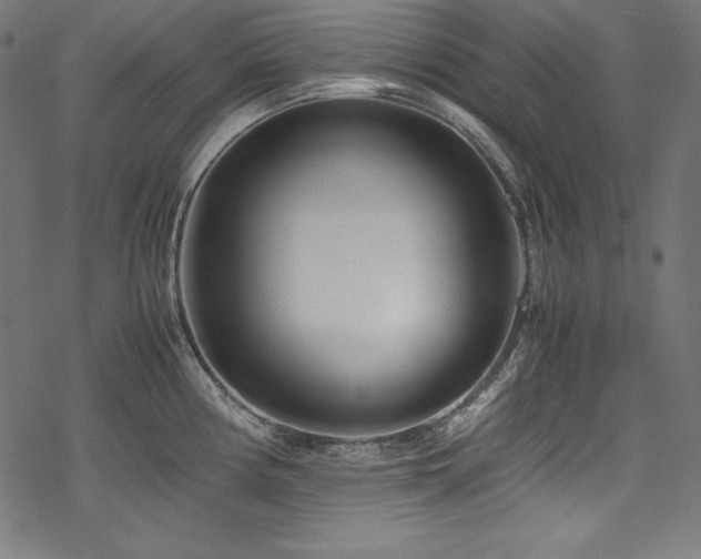 X0000078241194200611031102