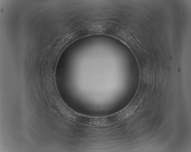 X0000078241201200611031101
