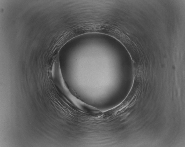 X0000078241202200611031101