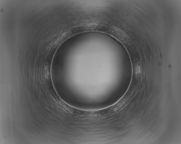 X0000078241204200611031101