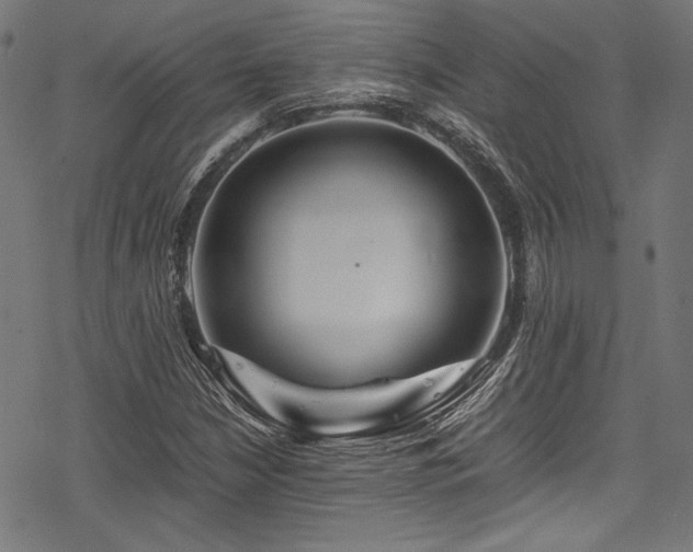 X0000078241210200611031101