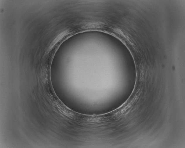 X0000078241211200611031101