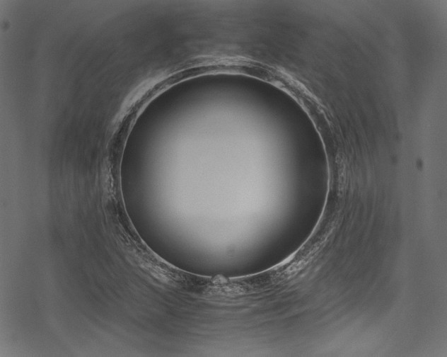 X0000078241215200611031101