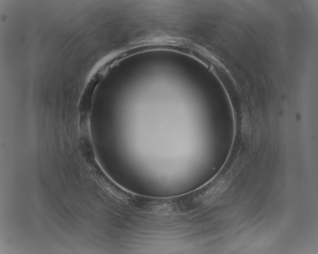 X0000078241222200611031101