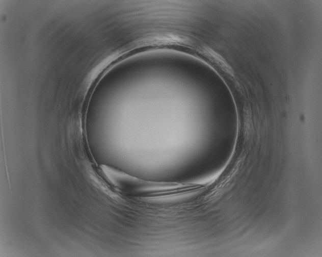 X0000078241226200611031101