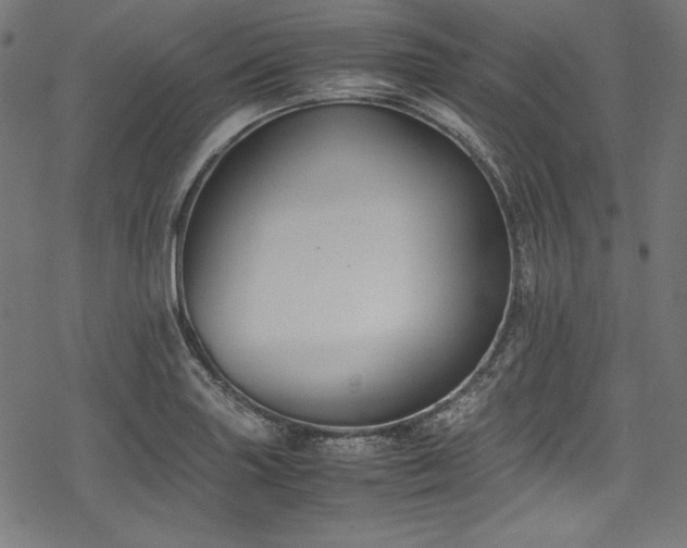 X0000078241227200611031101
