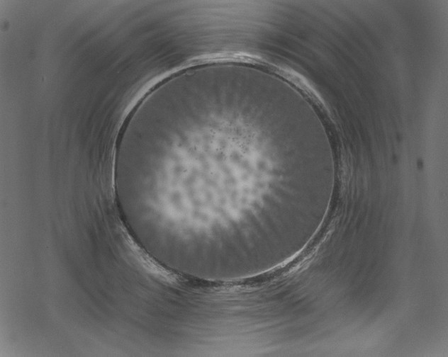 X0000078241228200611031101