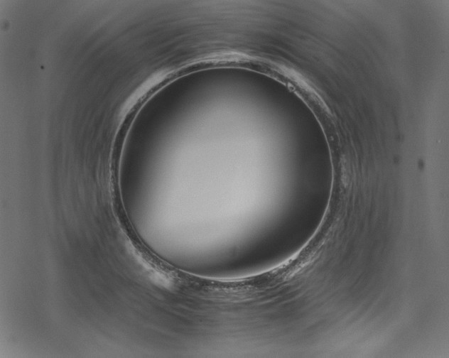 X0000078241229200611031101