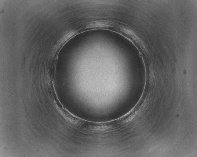 X0000078241233200611031102