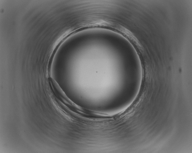 X0000078241234200611031102