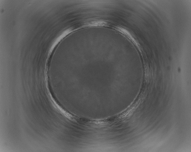X0000078241235200611031102
