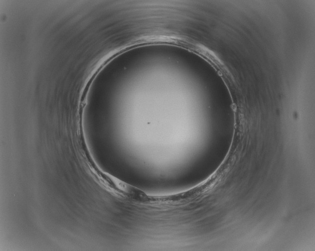 X0000078241236200611031102