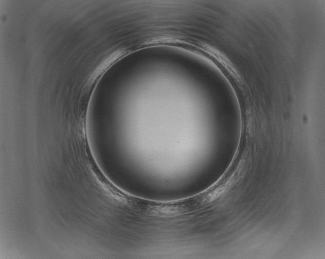 X0000078241241200611031102
