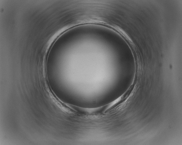X0000078241246200611031102
