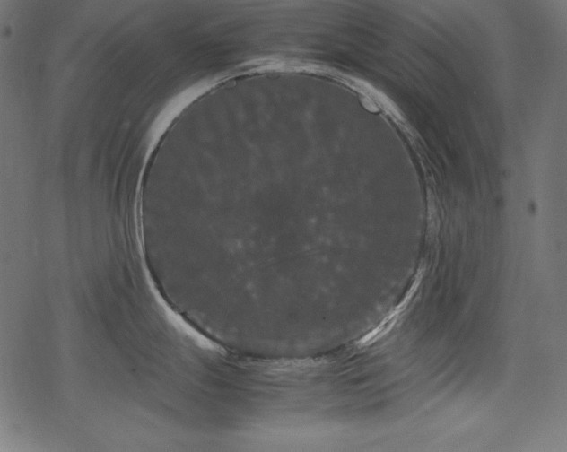 X0000078241247200611031102