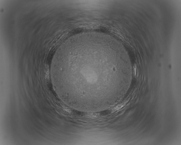 X0000078241251200611031101