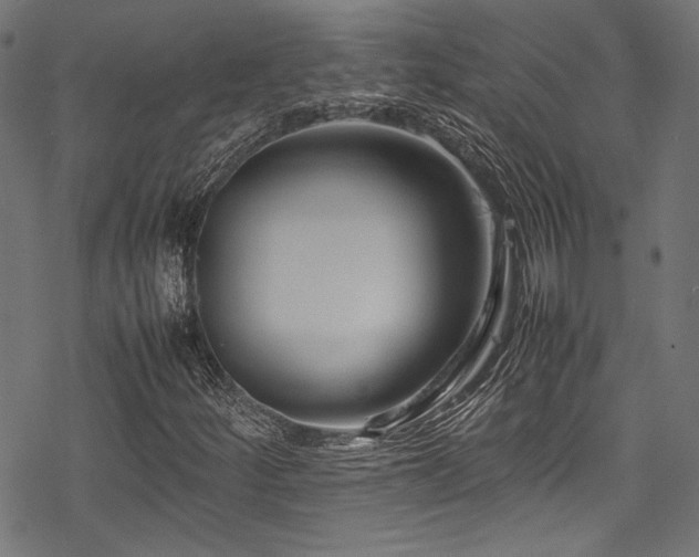 X0000078241252200611031101