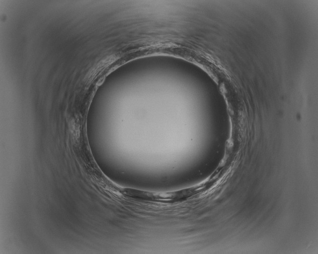 X0000078241257200611031101