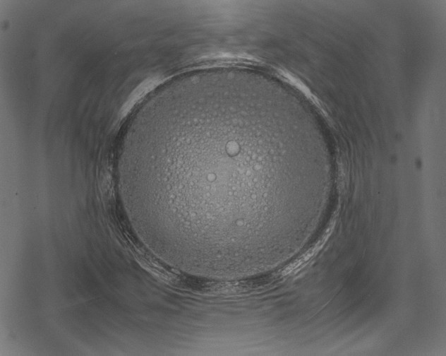 X0000078241259200611031101