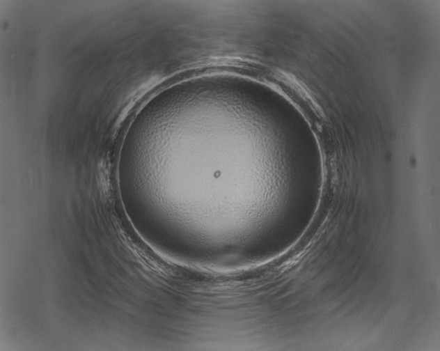 X0000078241260200611031101