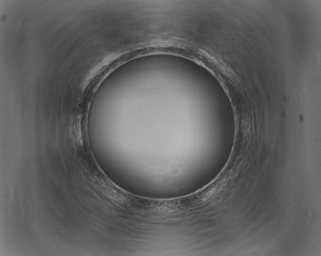 X0000078241262200611031101