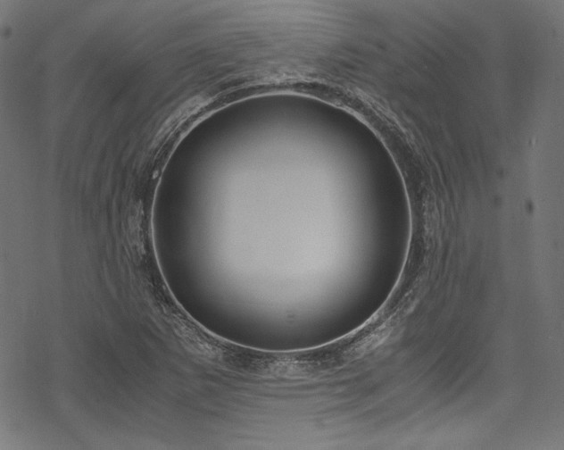 X0000078241265200611031101