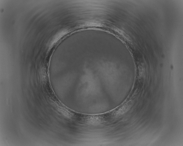 X0000078241266200611031101