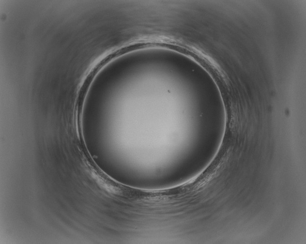 X0000078241272200611031101