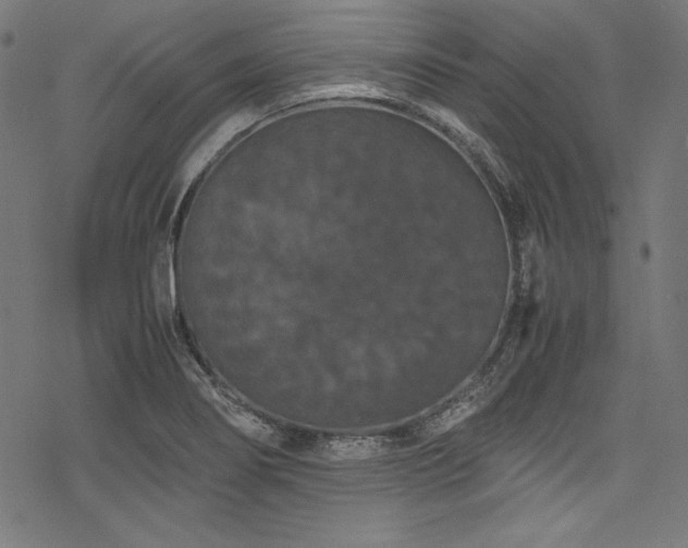 X0000078241274200611031101