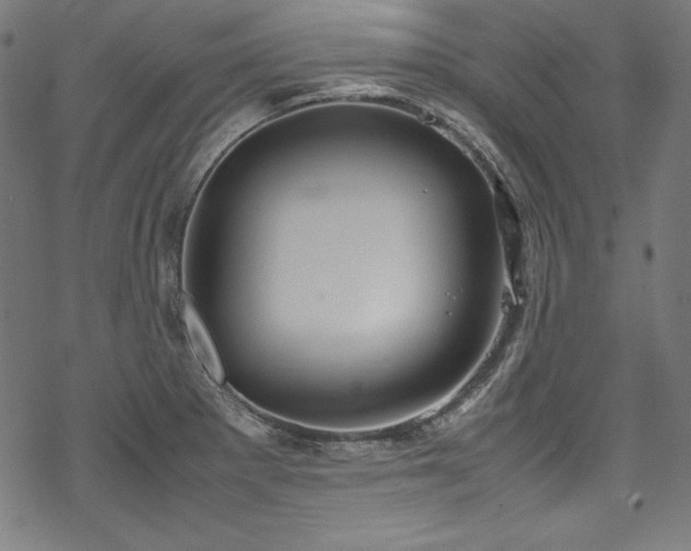 X0000078241281200611031101