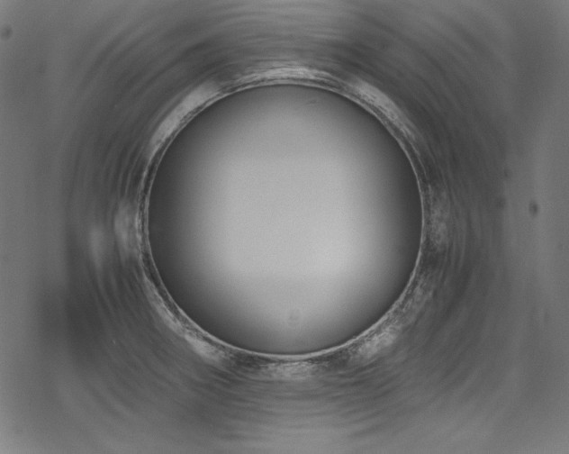 X0000078241282200611031100