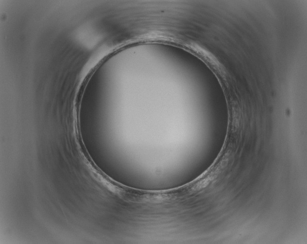 X0000078241286200611031100