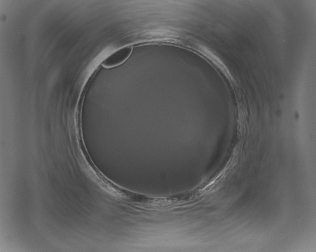 X0000078241291200611031100