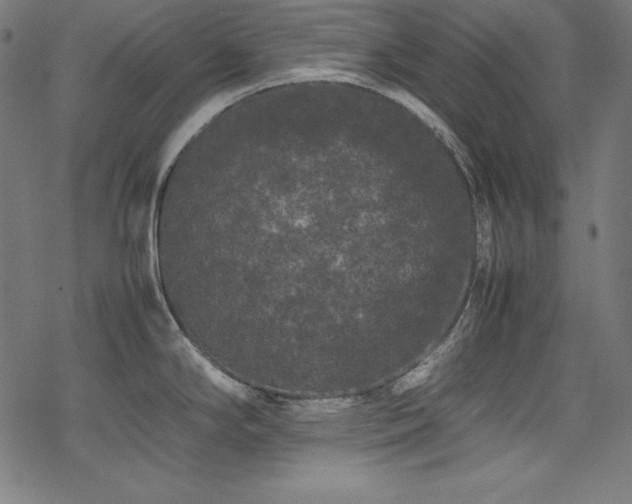 X0000078241294200611031100