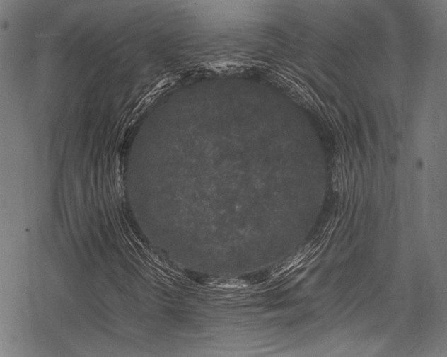 X0000078241298200611031100