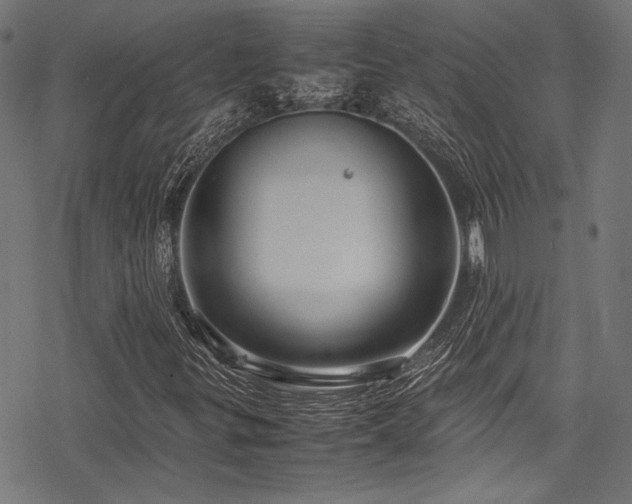 X0000078241299200611031100