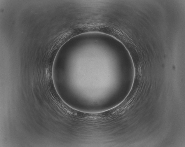 X0000078241300200611031100