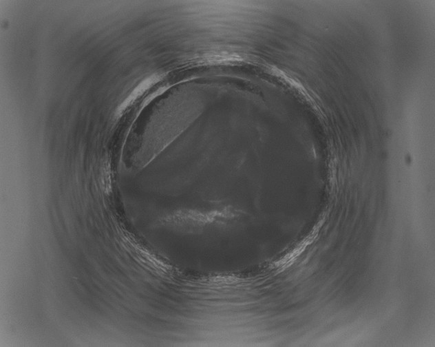 X0000078241306200611031100