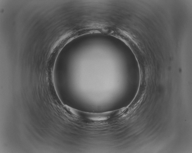 X0000078241307200611031100