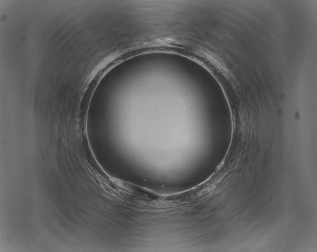 X0000078241308200611031100